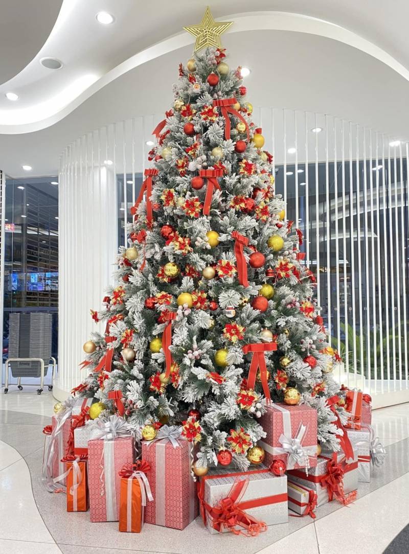 Cho Thuê Cây Thônng Noel Tại Quận 6. Ảnh 3